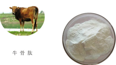 凯发K8国际解技术助力牛骨凯发K8国际解呈味肽品质升级