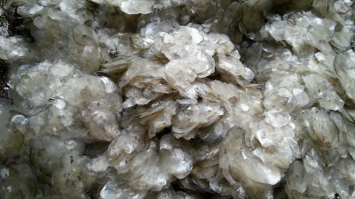 碱性凯发K8国际酶解鱼鳞制备胶原蛋白多肽，成品有沉淀？
